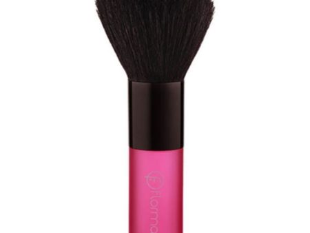 Flormar Blush On Brush Discount