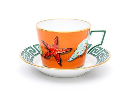 Richard Ginori Tea Cups Saucers 4 Pcs Antico Doccia Il Viaggio Di Nettuno Online now