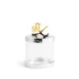 Butterfly Ginkgo Canister Extra Small Fashion