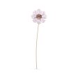 Swarovski Garden Tales Cosmos For Discount