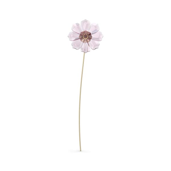 Swarovski Garden Tales Cosmos For Discount