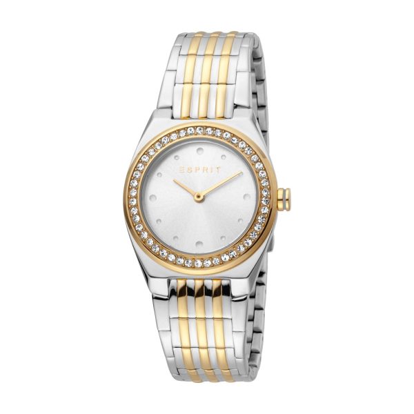 Esprit Ladies Two Tone Watch With Stone Silver Dial For Cheap