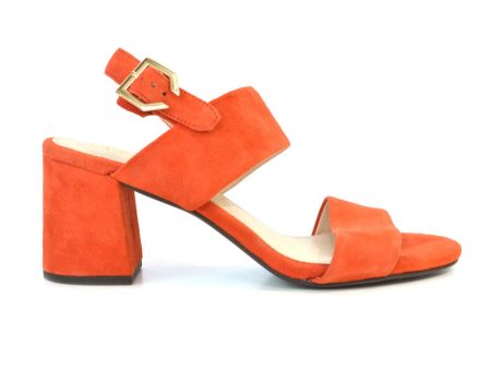 Cole Haan Avani City Sandal 65mm Aura Orange Suede Online Sale