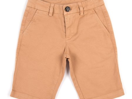 Roberto Cavalli Brown Bermuda Short For Cheap