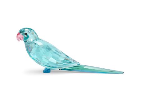 Swarovski Jungle Beats Blue Parakeet Paco Online