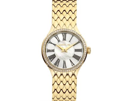 Cerruti Ladies Watch Stainless Steel   Gold Plated Case With Stones Online Hot Sale