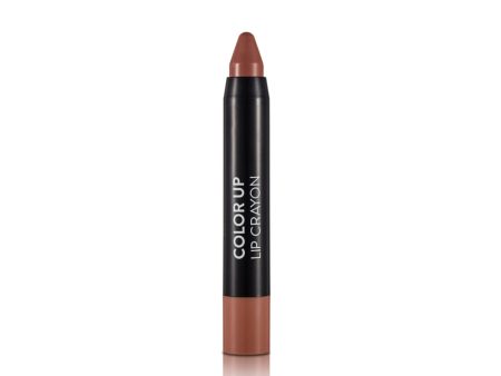 Flormar Color Up Lip Crayon 003 Brownish Nude - 3.2 g Online now