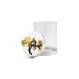 Butterfly Ginkgo Canister Small Discount