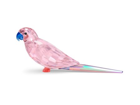 Swarovski Jungle Beats Pink Parakeet Cha Cha Cheap