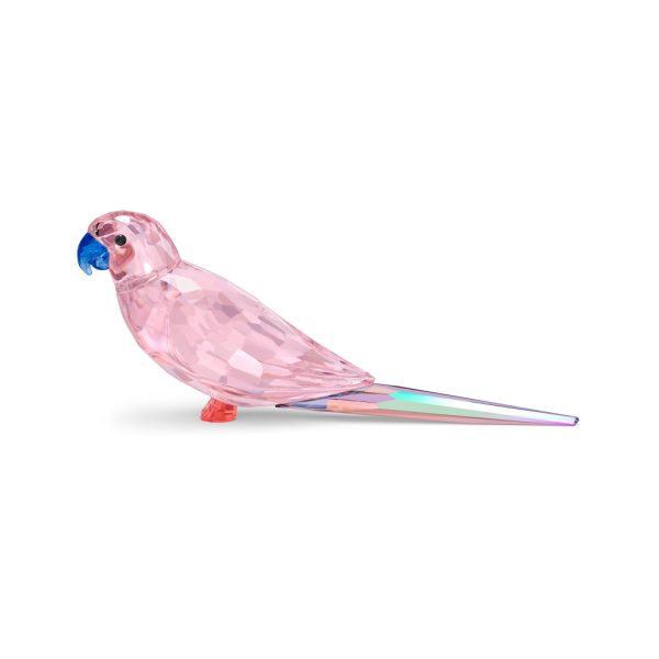 Swarovski Jungle Beats Pink Parakeet Cha Cha Cheap