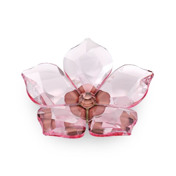 Swarovski Garden Tales Cherry Blossom Magnet, Large on Sale