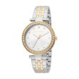 Esprit Ladies Two Tone Watch With Silver  Dial & Stone For Discount