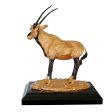 Goldline Oryx Large With Golden Base Online Sale