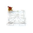 Cristal De Paris Square Plate 9X24 cm For Discount